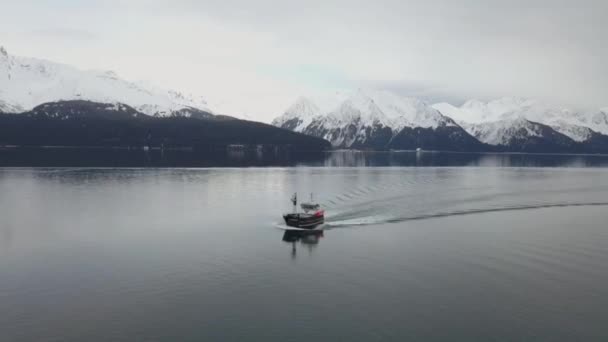 Bateaux Pêche Commerciale Flétan Dans Les Eaux Baie Résurrection Seward — Video