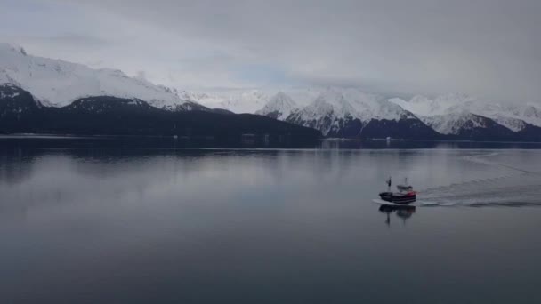 Kommersiella Hälleflundra Fiskebåtar Vattnet Uppståndelsen Bay Seward Alaska — Stockvideo