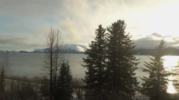 Winter Landschap Uit Wilde Alaska Woestijn — Stockvideo