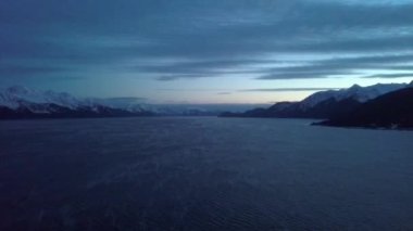 Alaskan vahşi dan kış manzarası