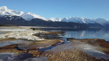 Alaskan vahşi dan kış manzarası