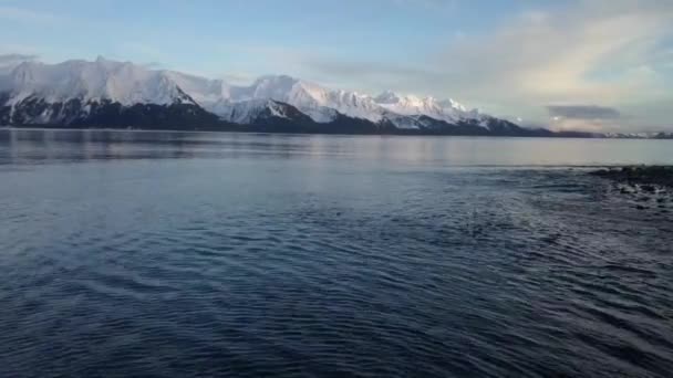 Fantastisk Kväll Vintern Tide Utsikt Alaska — Stockvideo