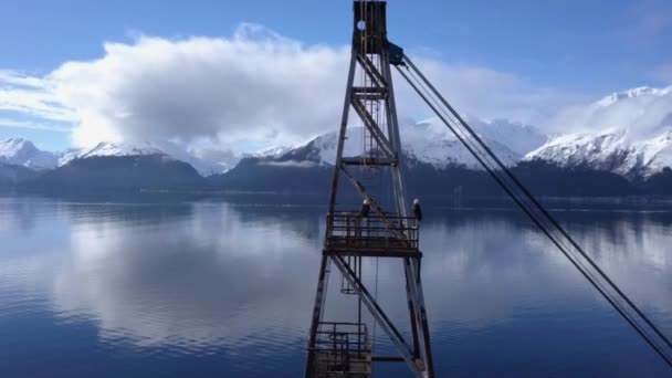 Örnar Som Umgås Överge Industriell Utrustning Docka Alaska — Stockvideo