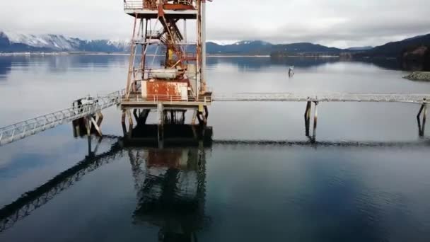 Bald Eagles Wiszące Porzucenia Urządzenia Przemysłowe Dock Alasce — Wideo stockowe