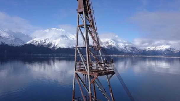 Лисі Орли Гуляти Відмовитися Від Промислового Обладнання Доці Алясці — стокове відео