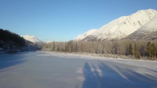 野生のアラスカの荒野からの冬景色 — ストック動画