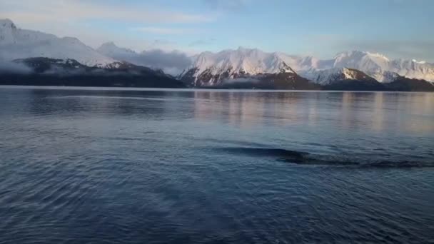 Splendida Vista Sulla Marea Invernale Serale Alaska — Video Stock