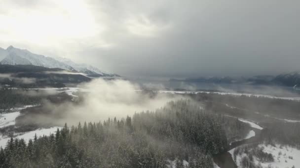 Cenário Inverno Deserto Selvagem Alasca — Vídeo de Stock