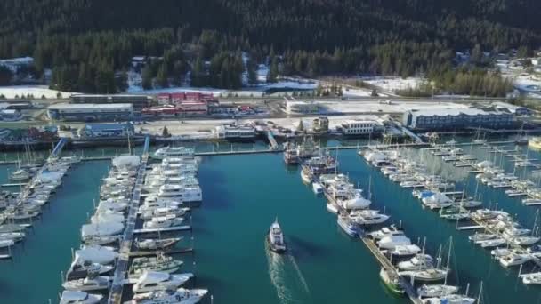 Winter Uitzicht Vanaf Seward Alaska Boot Havens — Stockvideo