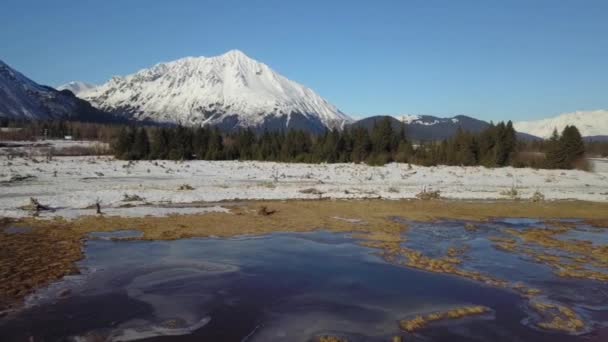 Vadon Élő Alaszkai Vadonban Téli Tájat — Stock videók