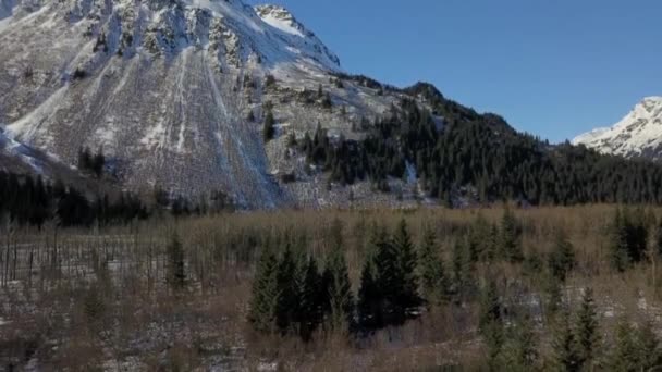 Montaje Escalada Para Ver Avalancha Seward Alaska — Vídeos de Stock