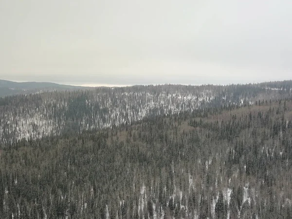 Miles Winter Wilderness Fairbanks Alaska — Stock Photo, Image