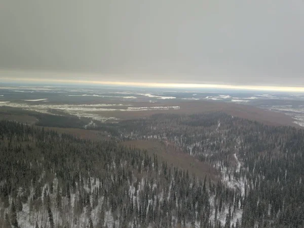 Milhas Deserto Inverno Fora Fairbanks Alaska — Fotografia de Stock