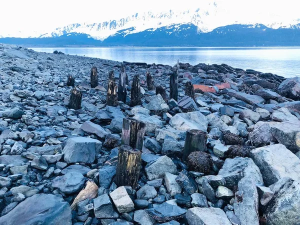 Remains of the old dock in Seward Alaska after the earthquake of 1964 or \