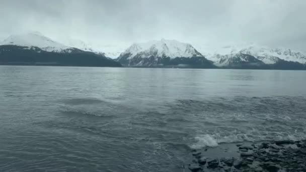 Vodopády Přílivu Aktivity Mimo Seward Aljaška — Stock video
