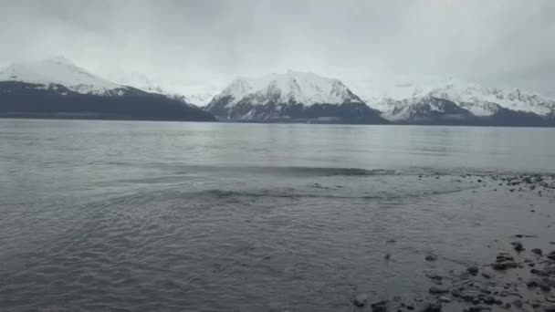 Cascadas Mareas Fuera Seward Alaska — Vídeo de stock
