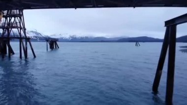 Alaska'da balık avlama mühür aslanlar 