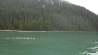 Kış sörf Alaska küçük dalgalar üzerinde çalışılıyor 