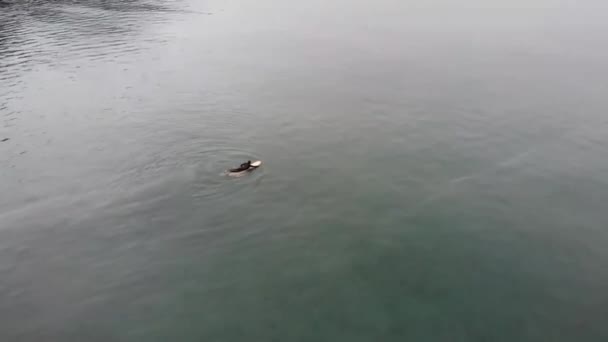 Tratando Surfear Olas Pequeñas Alaska Día Lluvioso Invierno — Vídeo de stock