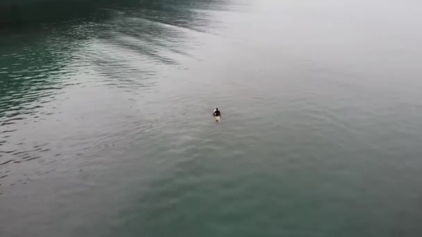 Tratando Surfear Olas Pequeñas Alaska Día Lluvioso Invierno — Vídeo de stock