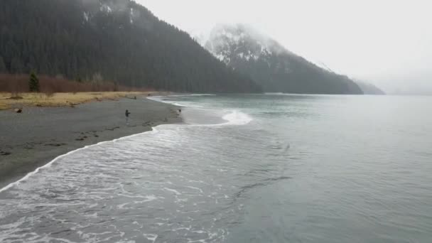 Morbide Onde Maree Alaska — Video Stock