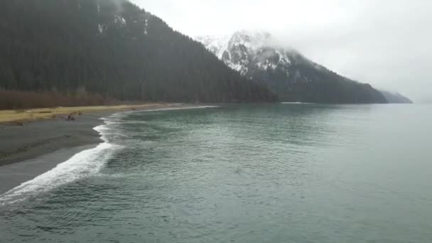 暗くなってきて雨の冬の日にアラスカでシュノーケ リング — ストック動画