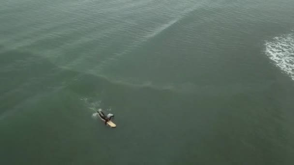 雨が多い冬の日にアラスカで小さな波でサーフィンしよう — ストック動画