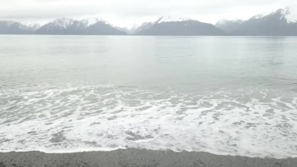 雨が多い冬の日にアラスカで小さな波でサーフィンしよう — ストック動画