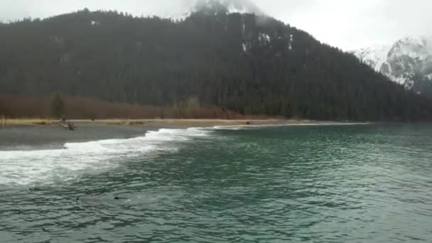 暗くなってきて雨の冬の日にアラスカでシュノーケ リング — ストック動画