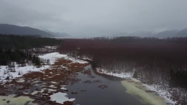 Stormig Vinter Himlen Alaska — Stockvideo