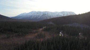 Alaska'nın Kenai Yarımadası geri ülkede