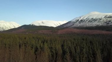 Alaska'nın Kenai Yarımadası geri ülkede