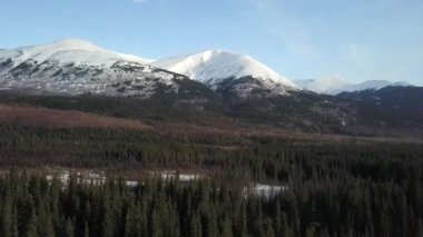 Alaska'nın Kenai Yarımadası geri ülkede