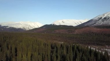 Alaska'nın Kenai Yarımadası geri ülkede