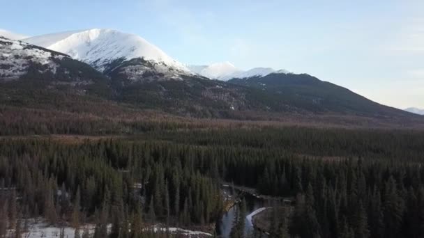Dans Arrière Pays Péninsule Kenai Alaska — Video