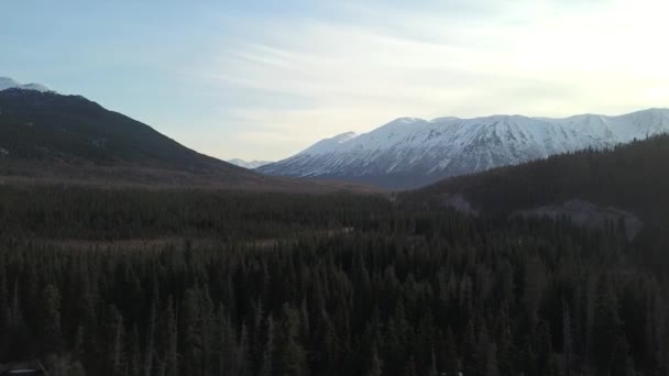 Het Achterste Land Van Alaska Onder Kenai Peninsula — Stockvideo