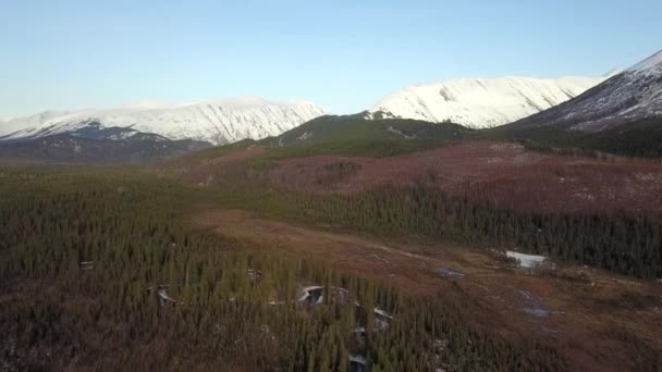 Hinterland Der Alaska Kenai Halbinsel — Stockvideo