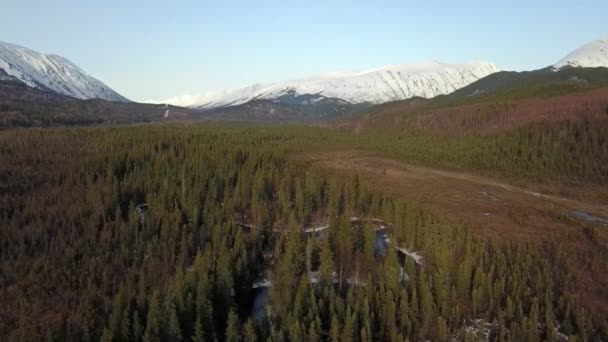 Hinterland Der Alaska Kenai Halbinsel — Stockvideo