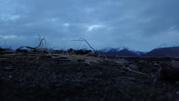 Splendida Vista Primaverile Dall Alaska — Video Stock