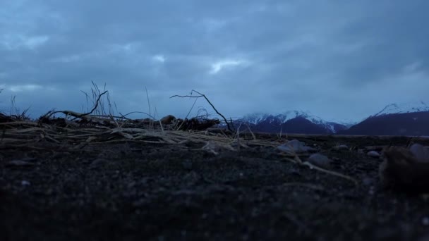 Våren Utsikten Från Alaska — Stockvideo