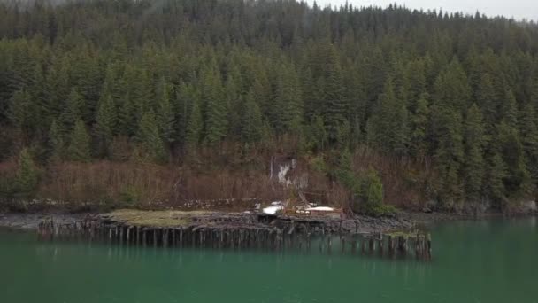 Eski Dünya Savaşı Emplacement Alaska Sadece Erişilebilir Tekne Ile — Stok video