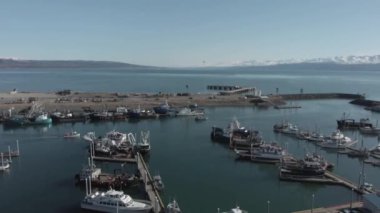 Çok meşgul Homer Alaska tekne liman ile gelen teknelerin sürekli bir akış ve bizim gün boyu,.