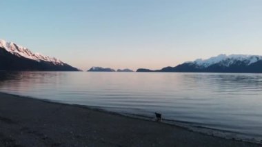 Diriliş Bay Alaska manzaralar 