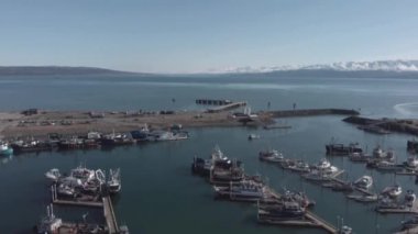 Çok meşgul Homer Alaska tekne liman ile gelen teknelerin sürekli bir akış ve bizim gün boyu,.