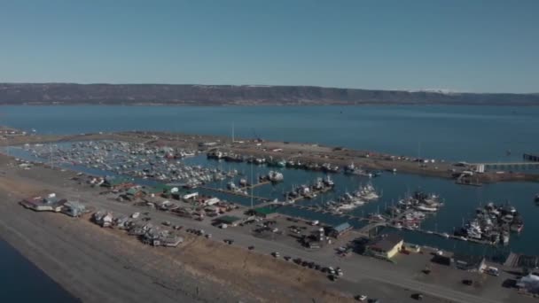 Uitzicht Vanaf Wereldberoemde Spit Homer Alaska — Stockvideo