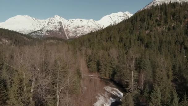 Lente Tijd Uitzicht Vanuit Alaska Chugach Mountains — Stockvideo