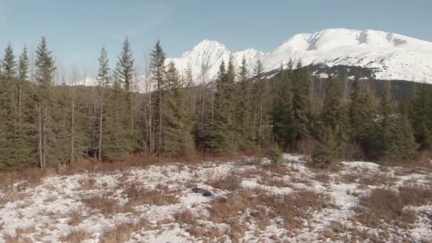 Vistas Primavera Desde Las Montañas Chugach Alaska — Vídeo de stock