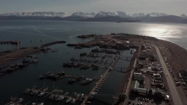 Uitzicht Vanaf Wereldberoemde Spit Homer Alaska — Stockvideo