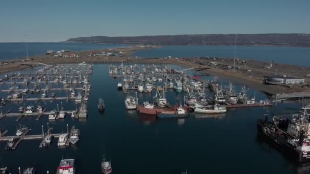 Uitzicht Vanaf Wereldberoemde Spit Homer Alaska — Stockvideo