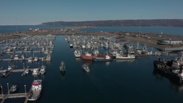 Homer Alaska Boat Harbor — Stockvideo